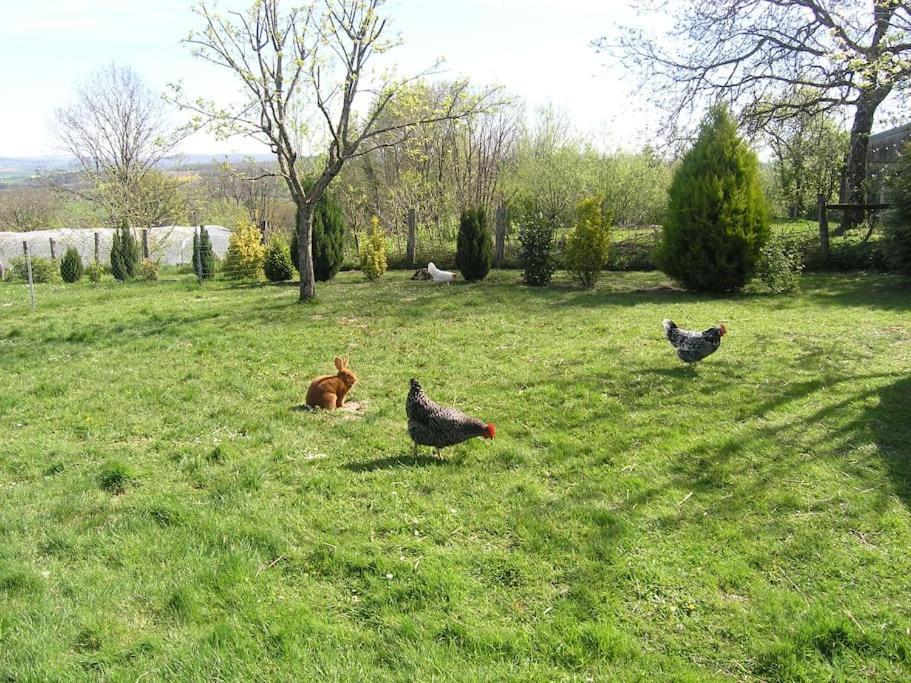 Les Jardins Des 3 Provinces- Gite Montcharvot Esterno foto