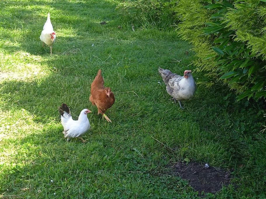 Les Jardins Des 3 Provinces- Gite Montcharvot Esterno foto