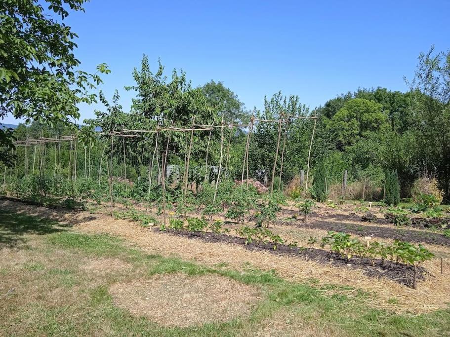 Les Jardins Des 3 Provinces- Gite Montcharvot Esterno foto