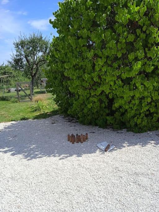 Les Jardins Des 3 Provinces- Gite Montcharvot Esterno foto