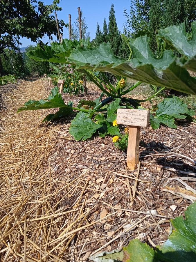 Les Jardins Des 3 Provinces- Gite Montcharvot Esterno foto