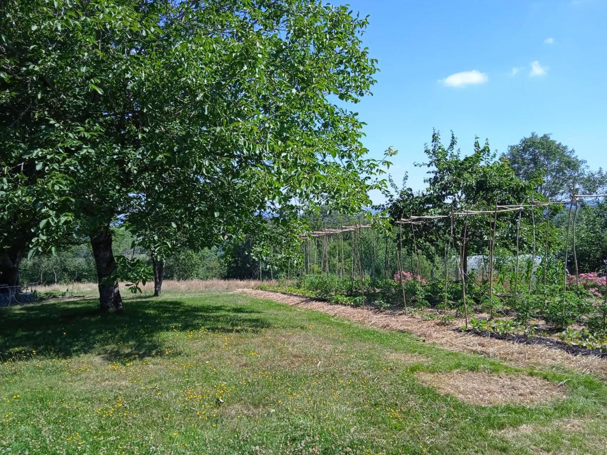 Les Jardins Des 3 Provinces- Gite Montcharvot Esterno foto