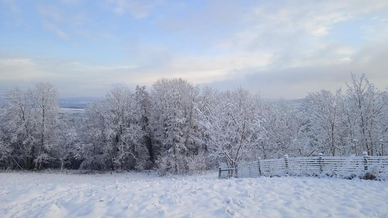 Les Jardins Des 3 Provinces- Gite Montcharvot Esterno foto