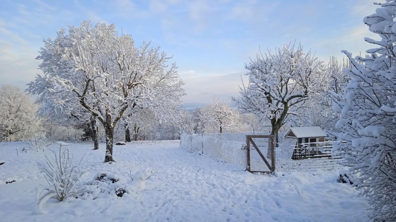 Les Jardins Des 3 Provinces- Gite Montcharvot Esterno foto